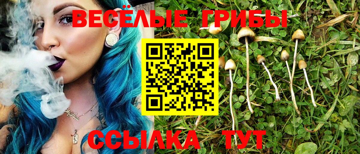 Псилоцибиновые грибы Psilocybine cubensis Владикавказ